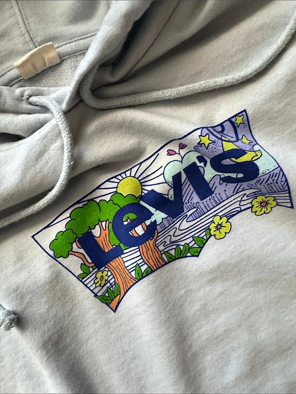 Levi's Graphic Pullover Hoodie in Light Blue